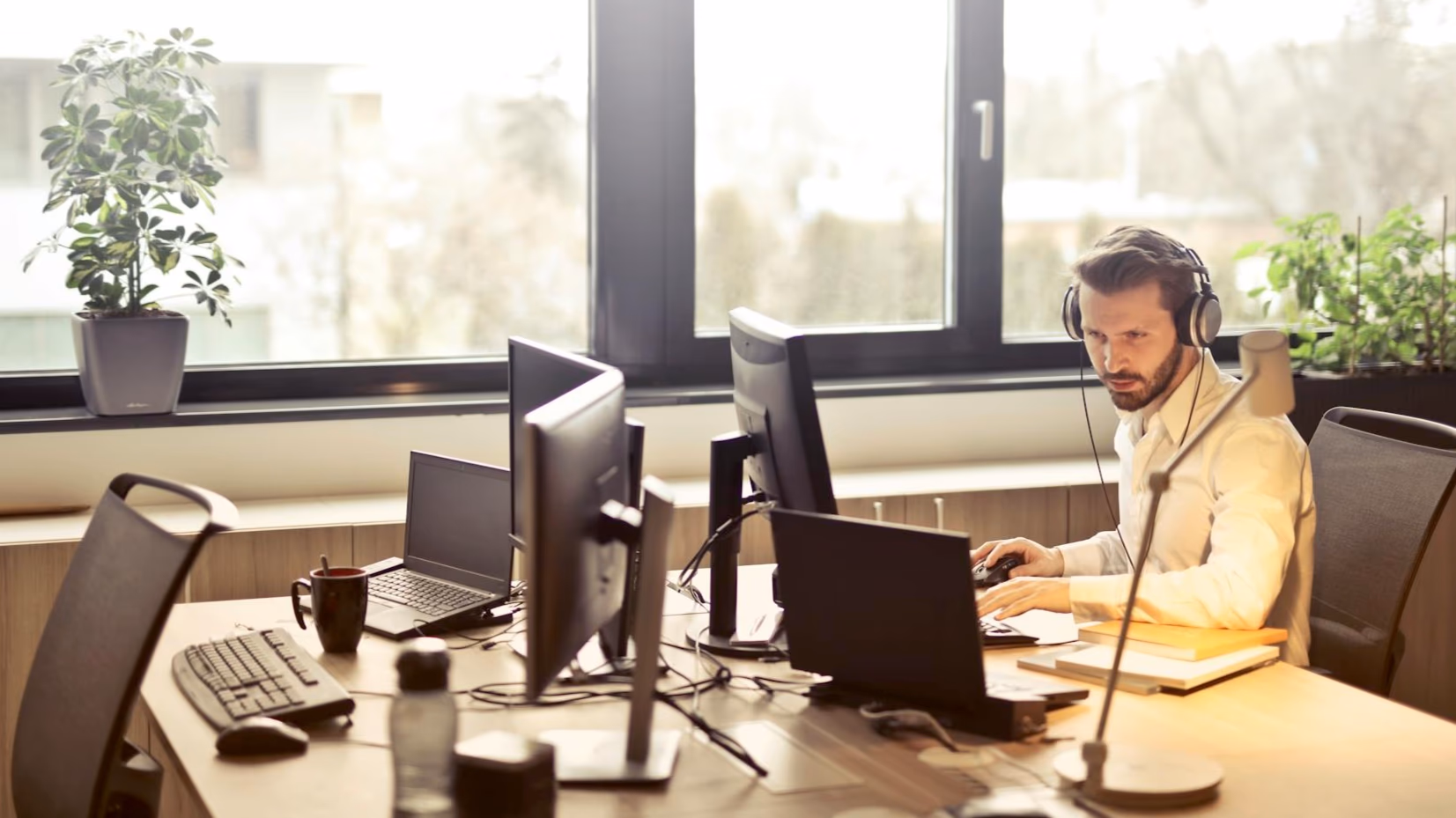 IT Support & Management
